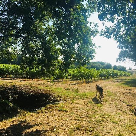 Villa Provencale Familiale Avec Piscine 格里莫 外观 照片
