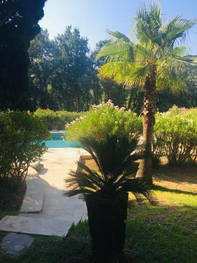 Villa Provencale Familiale Avec Piscine 格里莫 外观 照片