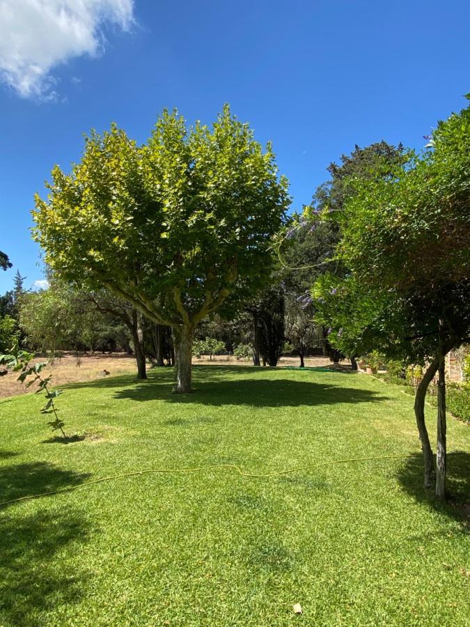 Villa Provencale Familiale Avec Piscine 格里莫 外观 照片